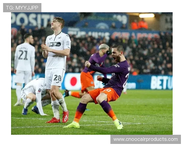 斯旺西足球俱乐部发展历程与未来展望分析